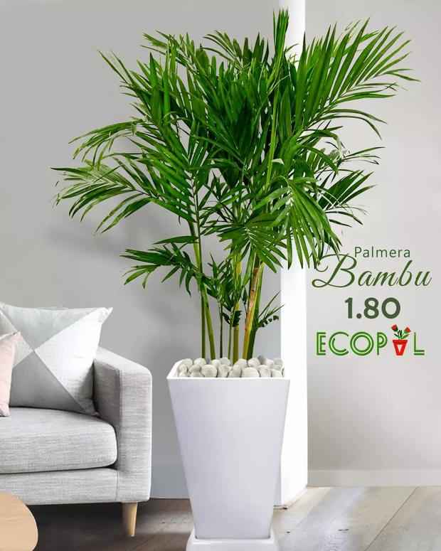 Vivero Ecopal