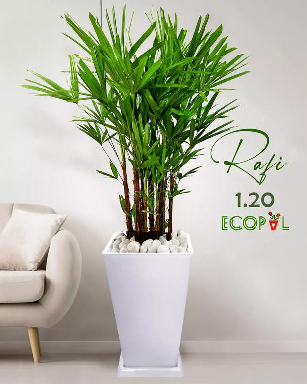 Vivero Ecopal